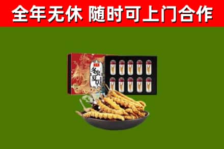 闽侯烟酒回收冬虫夏草礼盒.jpg